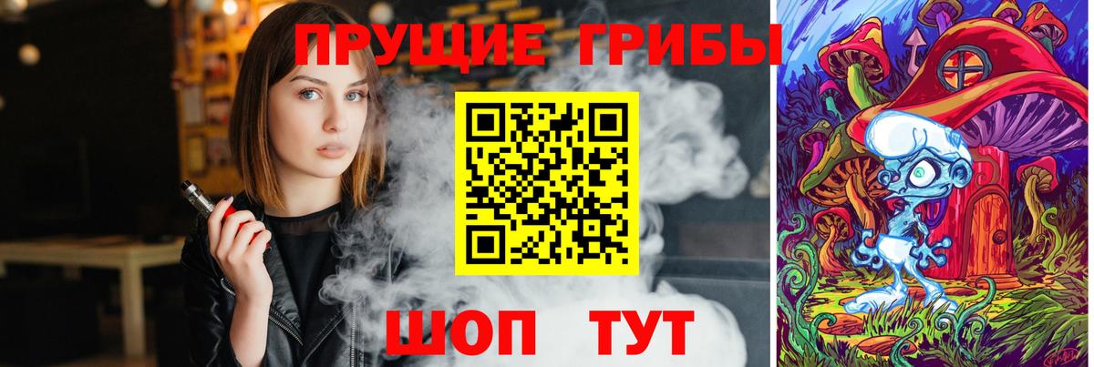 Псилоцибиновые грибы Cubensis  Вход с VPN  Жуковский 
